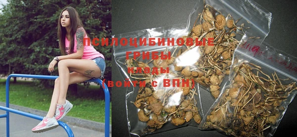 стаф Нефтекумск