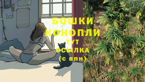 прущие крисы Новокубанск